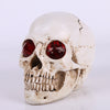 Realistische Totenkopfstatue mit roten Augen, 19 cm
