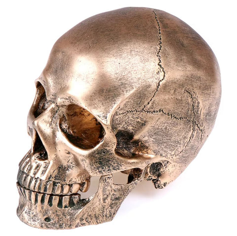 Totenkopfstatue aus bronzefarbenem Harz, 14 cm