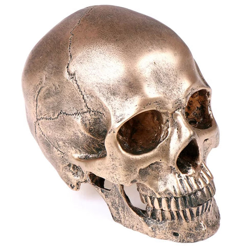 Totenkopfstatue aus bronzefarbenem Harz, 14 cm