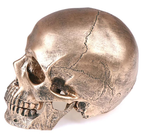 Totenkopfstatue aus bronzefarbenem Harz, 14 cm