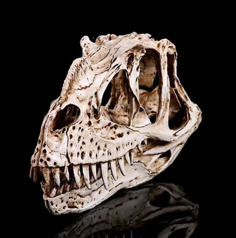 Statue Schädel Dinosaurier Ceratosaurus 11 cm