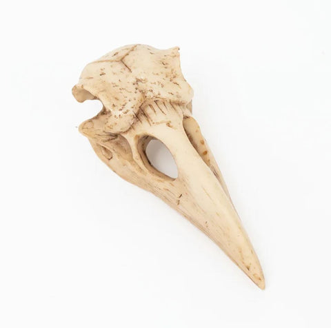 Vogelschädelstatue 4 cm