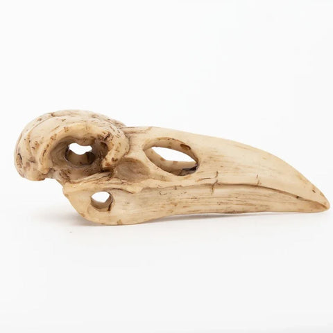 Vogelschädelstatue 4 cm