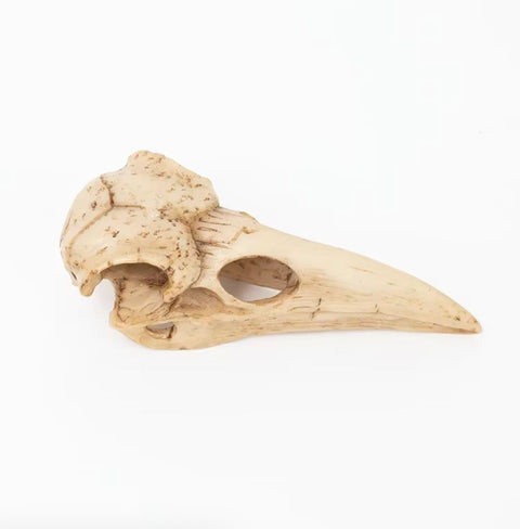 Vogelschädelstatue 4 cm
