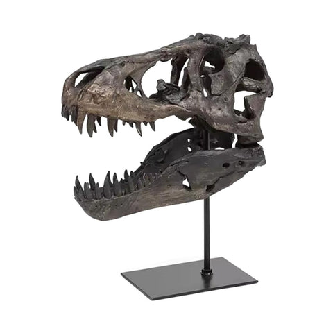 Statue Schädel Dinosaurier Tyrannosaurus 11 cm