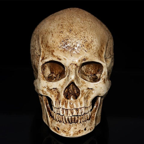 Totenkopfstatue<br> Alter Totenkopf 15 cm