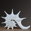 Zeitgenössische Skulptur<br> Muscheldesign