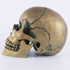 Totenkopfstatue<br> Bronzeschädel 15 cm