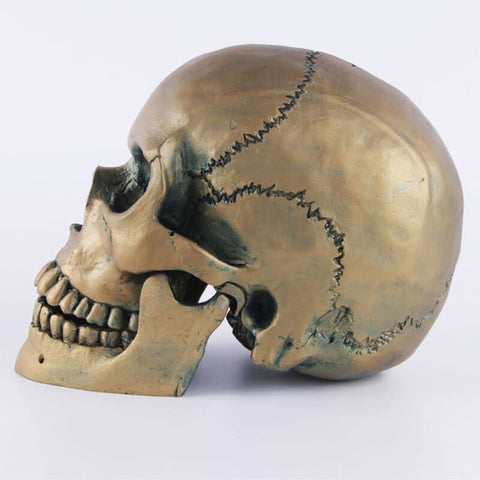 Totenkopfstatue<br> Bronzeschädel 15 cm