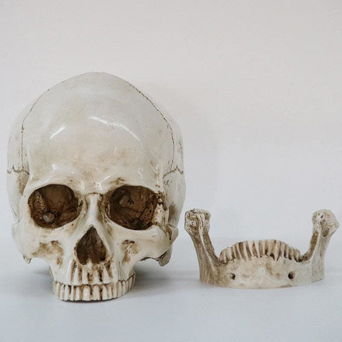Totenkopfstatue<br> Schädel 16 cm