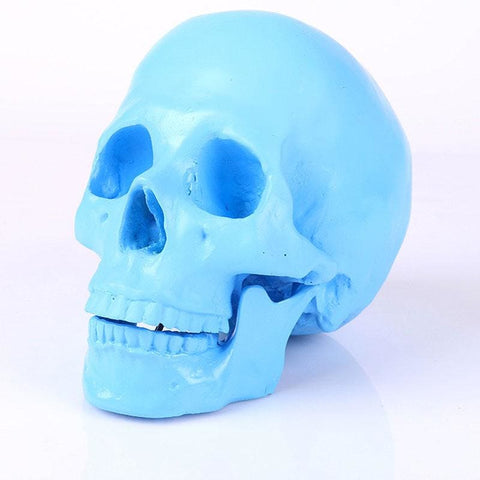 Totenkopfstatue<br> Dekorativer Totenkopf
