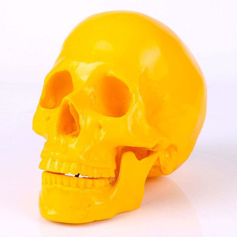 Totenkopfstatue<br> Dekorativer Totenkopf