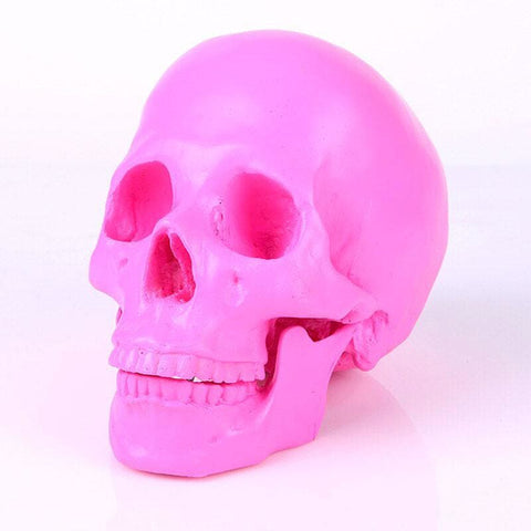 Totenkopfstatue<br> Dekorativer Totenkopf