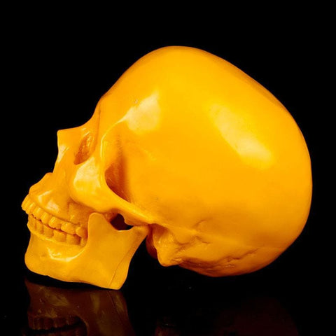 Totenkopfstatue<br> Dekorativer Totenkopf