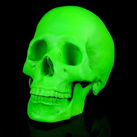 Totenkopfstatue<br> Dekorativer Totenkopf
