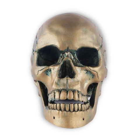 Totenkopfstatue<br> Bronzeschädel 15 cm