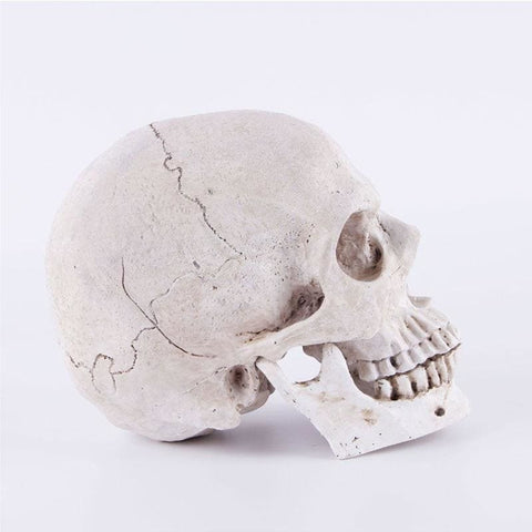 Totenkopfstatue<br> Dekoration 14 cm