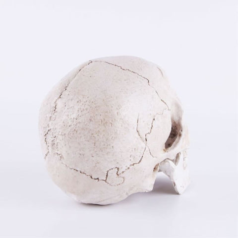 Totenkopfstatue<br> Dekoration 14 cm