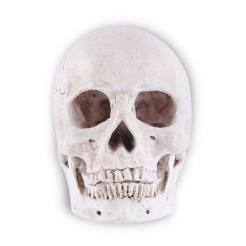Totenkopfstatue<br> Dekoration 14 cm